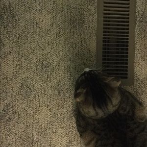 Meet your Posher, Ava